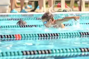 Kelebek Yüzme Nedir